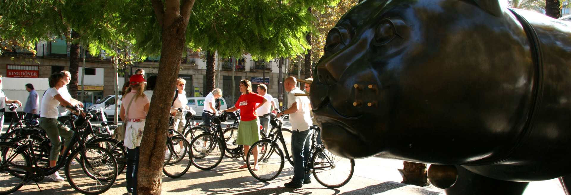 barcelona half day bike tour